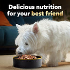 Cesar Wet Dog Food Loaf in Sauce Bacon Feast Variety Pack, 3.5 oz. Easy Peel Trays (12 Count, Pack of 2)