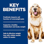 Hill's Science Diet Perfect Weight, Adult 1-6, Weight Management Support, Dry Dog Food, Chicken & Brown Rice, 12 lb. Bag