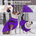 Dogcheer Dog Coat with Harness, Waterproof Warm Dog Winter Jacket with Pockets, Reflective Pet Fleece Jacket Turtleneck Snowsuit for Small Medium Large Dogs - Purple, M