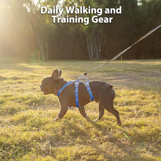 Huntboo Escape Proof Harness - No Slip Dog Harness, Fully Reflective with Handle, Breathable, Durable, Adjustable Vest for Medium Dogs Walking, Training, and Running Gear (Sea Blue, M)