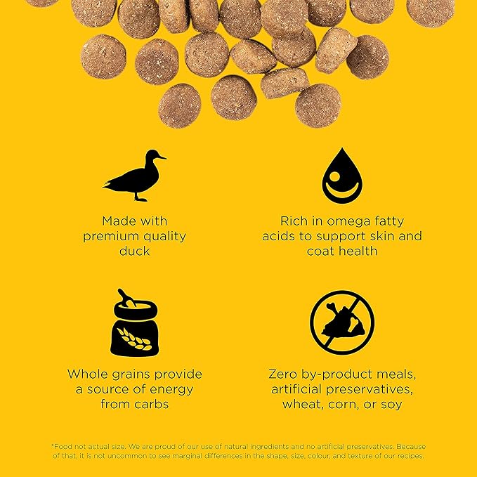 Go! Solutions Skin + Coat Care, Dry Dog Food, Duck Recipe with Grains, 3.5 lb Bag