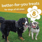 Fruitables Baked Dog Treats, Healthy Pumpkin Treat for Dogs, Low Calorie & Delicious, Free of Wheat, Corn and Soy, Made in The USA, Chicken and Cranberry Flavor, 12 oz