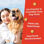Fruitables Baked Dog Treats, Healthy Pumpkin Treat for Dogs, Low Calorie & Delicious, Free of Wheat, Corn and Soy, Made in The USA, Apple and Crispy Bacon Flavor, 20oz