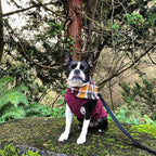 Gooby - Zip Up Fleece Vest, Fleece Jacket Sweater with Zipper Closure and Leash Ring, Fuchsia Wash, Large