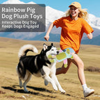Dog Toys Plush, Squeaky Stuffed Dog Toy, Rainbow Pig Dog Toys for Small Medium Breeds, Soft Dog Plush Toy, Puppy Teething Dog Toy, Interactive Dogs Toy for Indoor Dogs(Green)