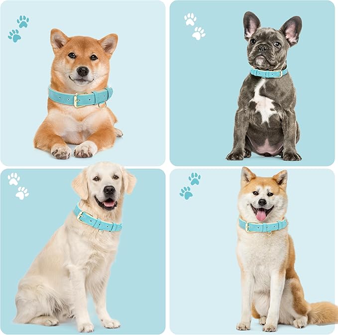 Leather Dog Collar for Small Medium Large Dogs, Soft Padded Dog Leather Collar with Heavy Duty Gold Buckle, Durable & Comfortable for Medium Dogs Daily Walking (Teal, M)
