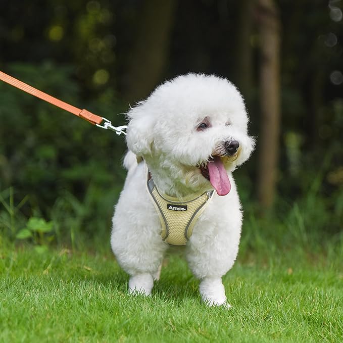 AIITLE Comfortable Dog Harness and Leash Set for Walking - Summer Step in Vest Harness,Reflective Bands, Adjustable No Pull Puppy Essentials, for Small Dogs and House Cats Beige XS