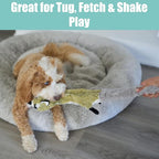 SPOT Skinneeez Raccoon 23 Inch Stuffing-Free Dog Toy – Soft Plush Tug Toy with Two Squeakers for Medium and Large Dogs – Mess-Free Interactive Chew Toy