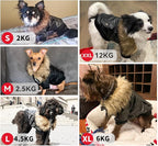 PETLESO Dog Coat for Small Dogs, Dog Leather Jacket Waterproof Windproof, Double Layer Warm Dog Winter Coat with Plush Lined, Black M