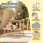Pawaboo Elevated Cat Hammock Bed, 2-Tier Cats Bed with 2 Teasers, Wooden Cats Furniture with Kitten Scratching Mat,Double Cat Beds Interactive Stair Shaped Pet Hammock for Indoor Kitties Climbing