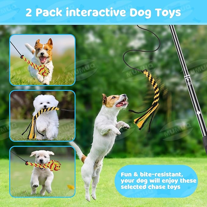 Flirt Pole for Dogs, Retractable Teasing Stick with Lure, Interactive Dog Toy for Outdoor Training Play Exercise, Flirt Stick for Puppy Small Medium Dogs