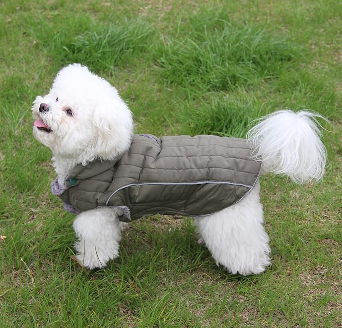 Fleece Dog Hoodie for Small Dogs Super Warm Puppy Jacket for Cold Winter Dog Coats,Green S