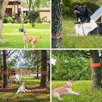 Dog Outdoor Bungee Tug Hanging Toy, Tether Tug of War Toys for Pitbull Small Large Aggressive Chewers Dogs to Exercise Solo Play, Tree Tugger Interactive Tug Toy, Dog Rope Toys