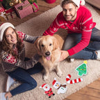 Squeaky Dog Toys Durable Push Puppy Toys for Chewing Interactive with Crinkle Paper for Small Medium Dogs