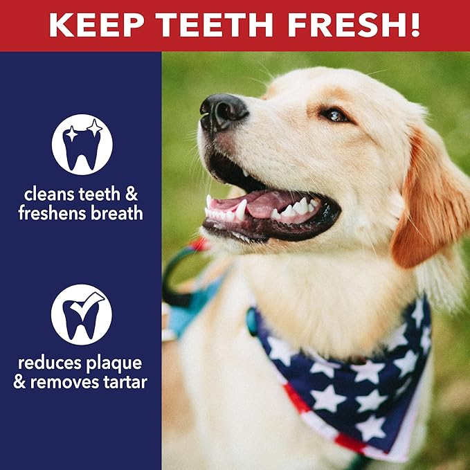 Pet Factory 100% Made in USA Beefhide 8" Rolls Dog Chew Treats - Peanut Butter Flavor, 10 Count/1 Pack