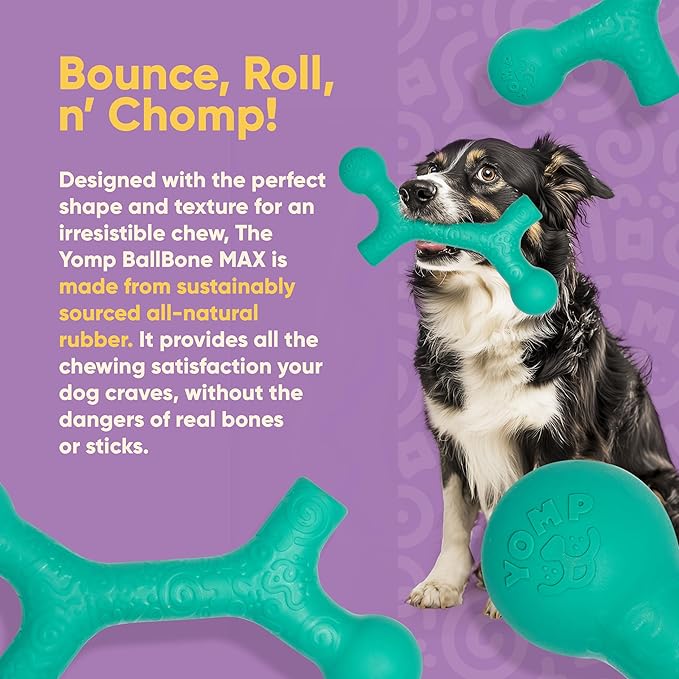 Yomp BallBone MAX: All-Natural Rubber Dog Toy, Nontoxic, Safe for Pet Play (Teal)