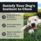 Redbarn Pet Products All Natural 8-12" Bully Sticks for Medium/Large Dogs - Healthy Long Lasting Chews Variety Party Pack - 100% Beef Single Ingredient Low Odor Rawhide Free - 1lb - Packaging May Vary