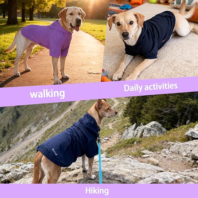 Basic Dog Hoodie Sweatshirts, Pet Clothes Hoodies Sweater with Hat and Leash Hole, Soft Cotton Outfit Coat for Large Medium Small Dogs, Purple (Medium)