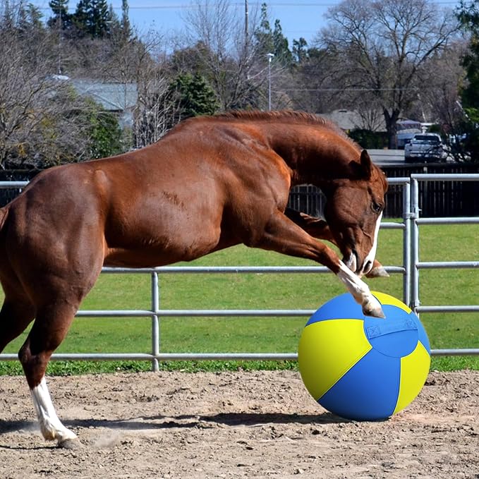 Herding Ball for Dogs and Horses - 18" Jolly Ball for Dogs, Agility Training Equipment, Herding for Australian/German Shepherd, Improved Bite-Resistant, Reinforced Sewing Dog Toys - Blue&Yellow（NEW）