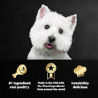 Cesar Wet Dog Food Poultry Lovers Variety Pack with Real Chicken, Turkey and Duck, 3.5 oz. Easy Peel Trays (36 Count, Pack of 1)