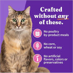 Halo Pets Spot's Stew Wholesome Turkey Cat Food Number of Cans/Size: 5.5-oz, case of 12