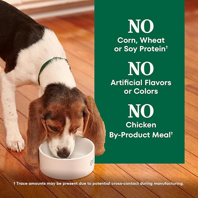 Nutro Natural Choice Chicken & Brown Rice Puppy Food Dry Recipe, 5 lb. Bag