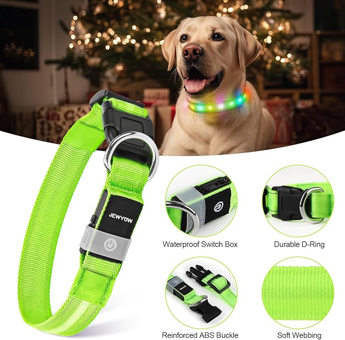 LED Dog Collar, Light Up Dog Collar, USB Rechargeable - Brightest Dog Lights for Night Walking, 6 Light Modes, Adjustable for Dog Safety(Small, Neon Green)