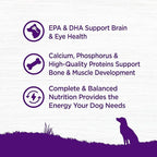 Wellness Complete Health Dry Puppy Food, Chicken, Salmon & Oatmeal, 5-Pound Bag