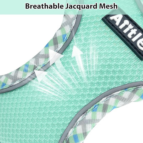AIITLE Escape-Proof Dog Harness - Extra Soft Jacquard Fabric with Moisture-Wicking Lining, Adjustable Fit for Boston Terrier, Pekingese - Running, Playdates, Outdoor Adventures (Turquoise, L)