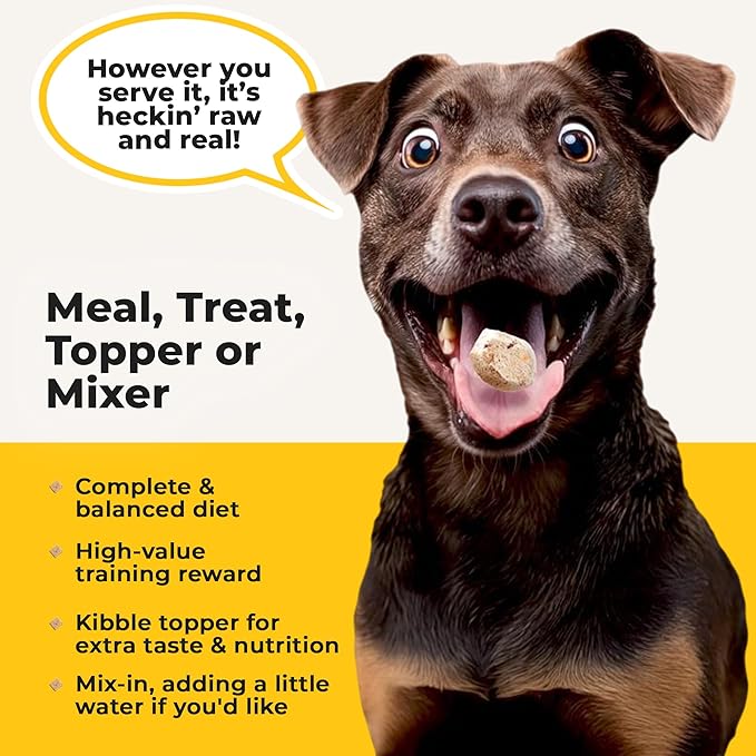 Bow Wow Beef - Freeze Dried Raw Dog Food, Complete Meal, Beef Liver and Kidney Bites for Training, Meal Topper, High Protein, 21g Per Cup, Made in The USA, 20oz Bag