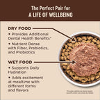 Wellness CORE Adult Dry Cat Food for Indoor & Outdoor Cats, Grain-Free, Natural, Turkey, Turkey Meal and Duck (5 Pound Bag)