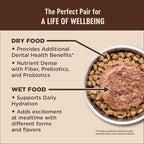 Wellness CORE Adult Dry Cat Food for Indoor & Outdoor Cats, Grain-Free, Natural, Turkey, Turkey Meal and Duck (11 Pound Bag)
