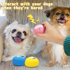 Dog Squeaky Toys, Latex Squeaky Dog Balls with Cute Big Eyes for Pet Dogs - Suitable for Teething Puppies, Small Dogs and Medium Dogs in Outdoor Chase and Fetch (3 Pcs)
