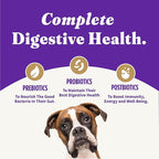 Halo Holistic Vegan Dog Food, Plant-Based Peanut Butter Recipe, Dry Dog Food, Complete Digestive Health, Kibble for Adult Dogs, 21 lb Bag