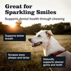 Redbarn Pet Products Natural Large Collagen Sticks for Dogs - Long Lasting Alternative to Traditional Rawhide & Bully - Supports Joint, Skin, & Coat Health - Case of 35