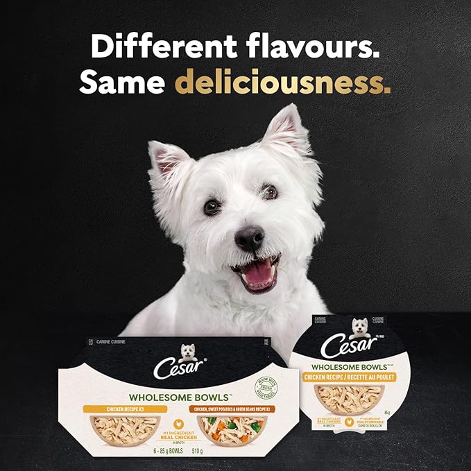 Cesar Wholesome Bowls Adult Wet Dog Food, Chicken, Carrots, Barley & Green Beans Recipe and Beef, Chicken, Purple Potatoes & Carrots Recipe Variety Pack, 3 oz. (6 Count, Pack of 1)