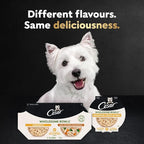 Cesar Wholesome Bowls Adult Wet Dog Food, Chicken, Carrots, Barley & Green Beans Recipe and Beef, Chicken, Purple Potatoes & Carrots Recipe Variety Pack, 3 oz. (6 Count, Pack of 1)