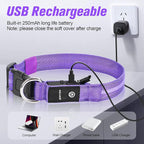 LED Dog Collar, Light Up Dog Collar, USB Rechargeable - Brightest Dog Lights for Night Walking, 6 Light Modes, Adjustable for Dog Safety(Medium, Purple)