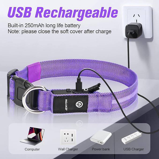 LED Dog Collar, Light Up Dog Collar, USB Rechargeable - Brightest Dog Lights for Night Walking, 6 Light Modes, Adjustable for Dog Safety(Medium, Purple)