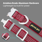 Plutus Pet Reflective Dog Collar with Aviation Aluminum Buckle, Neoprene Padded for Comfort, Lightweight, Heavy Duty Nylon Collar for Puppy Small Medium Large Dogs (Burgundy Red, M)