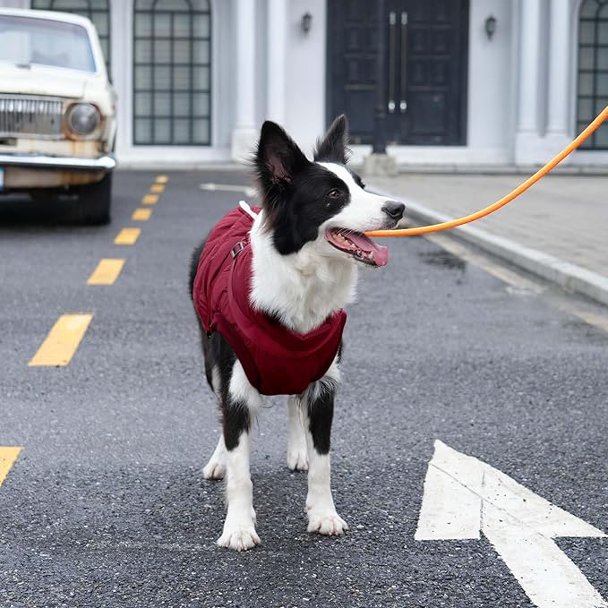 Dog Jacket with Harness,Fleece Lined Warm Puppy Coat for Winter,Soft Windproof Medium Dog Vest,Red L