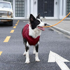 Dog Jacket with Harness,Fleece Lined Warm Puppy Coat for Winter,Soft Windproof Large Dog Vest,Red XXL
