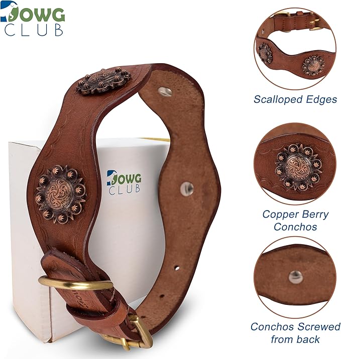 | Genuine Leather Scalloped Edges Vintage Dog Collar | Full Grain, Heavy Duty | Comfortable, Strong | Best for Medium, Large & XL Breeds (XL (Fit Neck Size 22"-26"), Brown-Scalloped Edges)