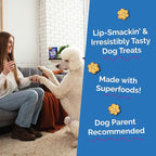 Fruitables Baked Dog Treats, Healthy Pumpkin Treat for Dogs, Low Calorie & Delicious, No Wheat, Corn or Soy, Made in the USA, Pumpkin and Blueberry Flavor, 7oz