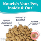 Solid Gold Lamb Dog Food Dry for Adult & Senior Dogs– High Protein Healthy Dog Kibble for Medium & Large Breeds – Whole Grain, Omega 3 & Digestive Probiotics for Gut Health & Everyday Nutrition – 4 LB
