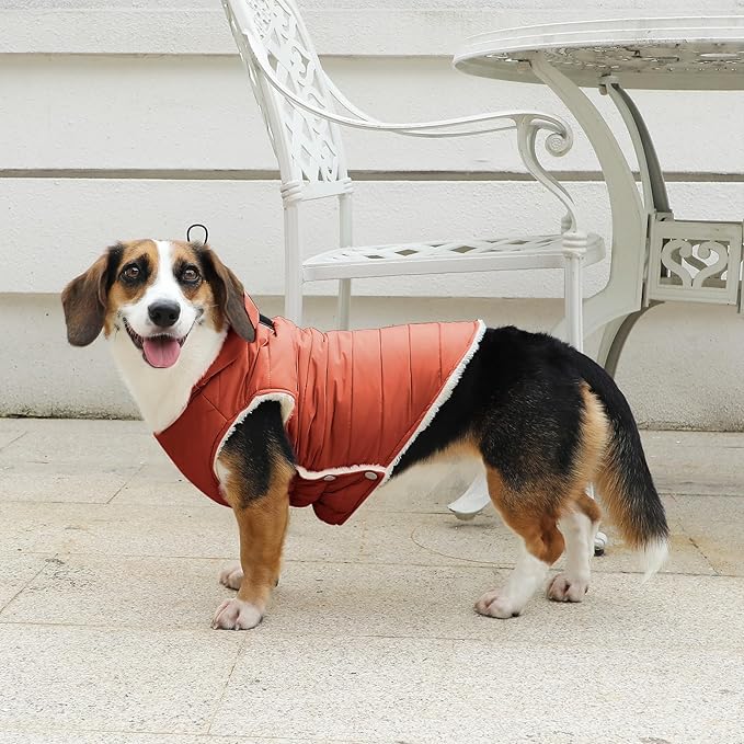 Fleece Lining Dog Hoodie with Harness Built in,Extra Warm Small Dog Jacket in Winter Puppy Coats with Drawstring Hooded,Orange S
