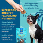 Chicken & Blueberry Chips – 2 Simple Ingredient Dog Treats, All Natural & Healthy Training Snacks for Small, Medium & Large Breeds, Puppies – High Protein, Made in USA 3oz