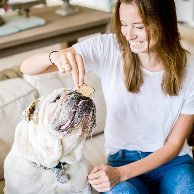 Cloud Star Wag More Bark Less Crunchy Grain Free Dog Treats, Pumpkin, 2.5 lbs. Bag