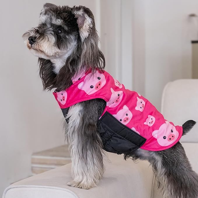 CuteBone Winter Dog Coat - Reversible Windproof Jacket for Small to Large Dogs - Soft Adjustable Coat with Leash Hole