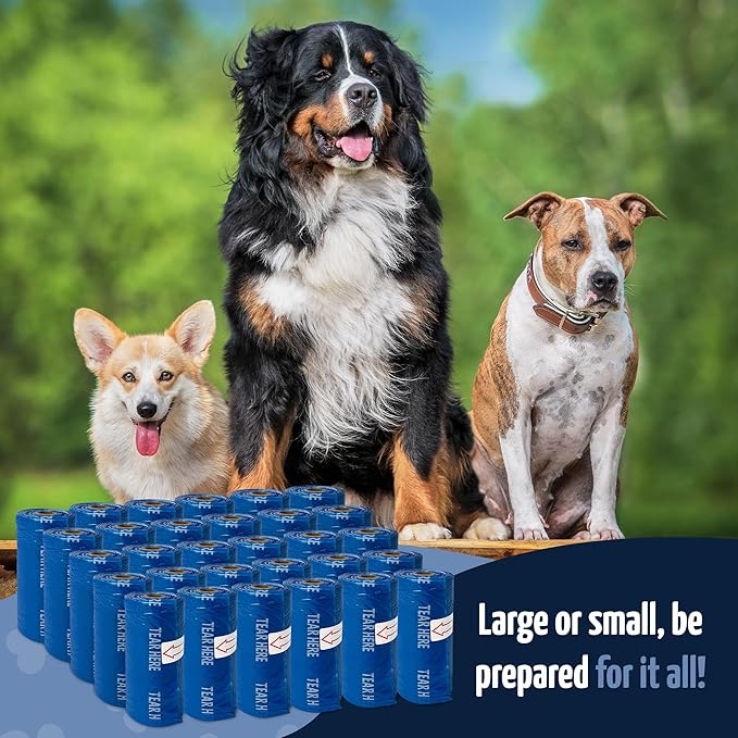 Reli. Biodegradable Dog Poop Bags Rolls (600 Pack, 40 Rolls) | 9"x13" Poop Bags for Dogs | Unscented, Leak Proof Oxobiodegradable Pet Waste Eco-Friendly | Blue | Leash Clip Holder Included
